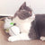 Automatic Rolling Ball Cat Toys