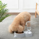 Stainless Steel Bowls Automatic Water