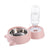 Stainless Steel Bowls Automatic Water