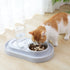 Cat Water Feeder Bowl