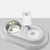 Cat Water Feeder Bowl