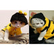 Teddy Poodle Cat Clothes
