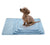 Summer Dog Mat