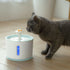Automatic Pet Cat Water Dispenser Bowl