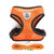 Breathable Small Pet Harness and Leash