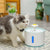 Automatic Pet Cat Water Dispenser Bowl