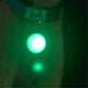 Pet Cat LED Glow Collar
