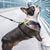 Pull Dog Harness Vest Reflective