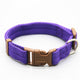 Nylon Optional Neck Dog Collar