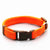 Nylon Optional Neck Dog Collar