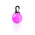 Pet Cat LED Glow Collar