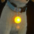 Pet Cat LED Glow Collar