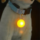 Pet Cat LED Glow Collar