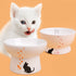 Skidproof Ceramic Cat Food Bowl