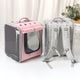 Cat Transparent Carrying Bag