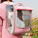 Cat Transparent Carrying Bag