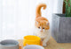 Hoopet Cat Water Feeder Bowl