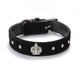 Rhinestones Crown Dog Collar