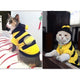 Teddy Poodle Cat Clothes