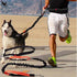 Dogs Leash Running Collar