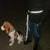 Dogs Leash Running Collar