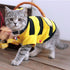 Teddy Poodle Cat Clothes