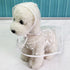 Waterproof Transparent Dog Raincoats