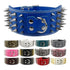 Spikes Studded Leather Dog Collar