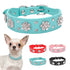 Didog Rhinestone Dog Collar