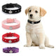 Rhinestones Crown Dog Collar