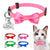Quick Release Cat Collar