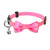 Quick Release Cat Collar