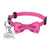 Quick Release Cat Collar