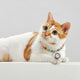 Anti Mosquito Lice Cat Collar