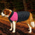 French Bulldog Winter Dog Clothes