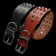 Leather Adjustable Spikes Dog Collar