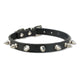 Leather Spiked Studded  Cat Collar