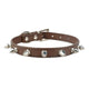 Leather Spiked Studded  Cat Collar