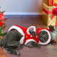 Santa Warm Cat Clothes