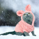 Chihuahua Yorkshire Cat Clothes