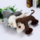 Dog Chew Toys for Small