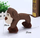 Dog Chew Toys for Small