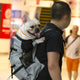 Breathable Pet Dog Carrier Bag