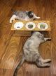 Solid wood Cat Dining Table Bowl