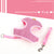 Mesh Cat Harness And Leash Set