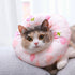 Cat Soft Anti-Bite Collar