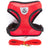 Breathable Small Pet Harness and Leash