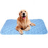 Summer Dog Mat